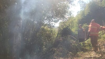 Cegah Api Meluas, Bhabinkamtibmas Kodo Bersama Damkar Padamkan Kebakaran Lahan Warga