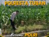 Polsek Grabagan Polresta Tuban Turun Langsung Cek Tanaman Jagung Warga