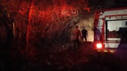 Gerak Cepat Padamkan Kebakaran Lahan di Dusun Badas, Tim Gabungan Pastikan Pemukiman Warga Aman