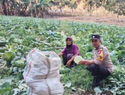 BHABINKAMTIBMAS DESA TEKASIRE DORONG WARGA MANFAATKAN LAHAN PEKARANGAN UNTUK DUKUNG KETAHANAN PANGAN