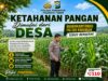 DUKUNG KETAHANAN PANGAN NASIONAL, BHABINKAMTIBMAS DESA PACING POLSEK PARENGAN POLRESTA TUBAN MONITORING LAHAN JAGUNG MILIK PETANI DI DESA PACING KEC. PARENGAN.
