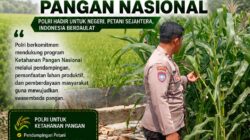 Polri Dukung Astacita, Polsek Rengel Polresta Tuban Turun Cek Tanaman Jagung Warga di Desa Sawahan