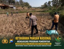 Polsek Montong Polresta Tuban Turun Cek Tanaman jagung Warga di Desa Bringin