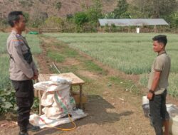 Bhabinkamtibmas Desa Rababaka Sambangi Warga, Ajak Dukung Program Pemerintah dan Jaga Produktivitas Bawang Merah