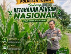 Dukung Astacita, Polsek Palang Polresta Tuban Pantau Langsung Lahan Jagung milik warga Desa Tasikmadu
