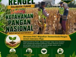 Polri Dukung Astacita, Polsek Rengel Polresta Tuban Turun Cek Tanaman Jagung Warga di Desa Sawahan