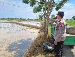 Dukung Ketahanan Pangan, Personel Polsek Bancar Monitoring Lahan Jagung Milik Warga Desa Bulujow