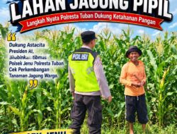 Polri Dukung Astacita, Polsek jenu Polres Tuban Turun Cek Tanaman Jagung Warga di Desa Jenu