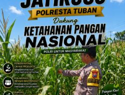 Turun ke Ladang Demit, Polsek Jatirogo Kawal Jagung Demi Swaembada Pangan