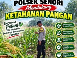 Bhabinkamtibmas Polsek Senori Pantau Tanaman Jagung Warga Desa Jatisari Dukung Ketahanan Pangan
