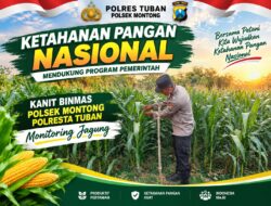 Polsek Montong Polresta Tuban Turun Cek Tanaman jagung Warga di Desa Pucangan