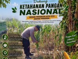 Polsek Soko Polresta Tuban Turun Langsung Cek Tanaman Jagung Warga