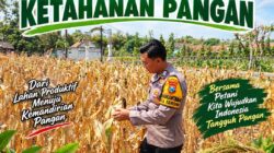 Dukung Program Asta Cita Presiden, Anggota Bhabinkamtibmas Polsek Senori Polresta Tuban Lakukan Pemantauan Tanaman Jagung Warga Desa Sendang