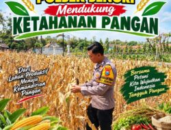 Dukung Program Asta Cita Presiden, Anggota Bhabinkamtibmas Polsek Senori Polresta Tuban Lakukan Pemantauan Tanaman Jagung Warga Desa Sendang