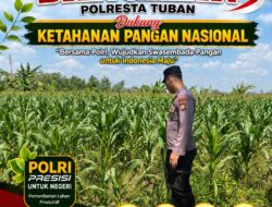 POLSEK BANGILAN DUKUNG KETAHANAN PANGAN NASIONAL MELALUI MONITORING TANAMAN JAGUNG