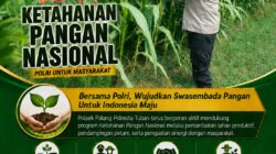 Dukung Astacita, Polsek Palang Polresta Tuban Pantau Langsung Lahan Jagung milik warga Desa Glodog