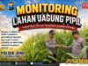 Anggota Bhabinkamtibmas Polsek Senori Polresta Tuban Monitoring Tanaman Jagung Milik Warga Desa Jatisari Dukung Program Ketahanan Pangan