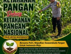 Polri dukung progam Astacita, Polsek Jatirogo Polresta Tuban Turun Cek Tanaman jagung Warga di Desa Jombok