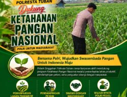 Anggota Polsek Singgahan Polresta Tuban Turun Cek Tanaman jagung Warga di Desa Tingkis