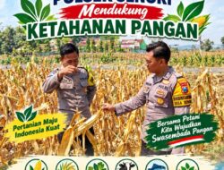 Unit Binmas Polsek Senori Polresta Tuban Memantau Tanaman Jagung Milik Warga Desa Jatisari Kecamatan Senori Guna Mendukung Program Ketahanan Pangan