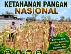 Polri Dukung Astacita, Polsek Semanding Polresta Tuban Turun Cek Tanaman jagung milik Warga di Desa Tegalagung