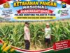 Polsek Montong Polresta Tuban Turun Cek Tanaman jagung Warga di Desa Ngulahan