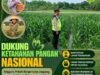 Polri Dukung Astacita, Polsek Rengel Polresta Tuban Turun Cek Tanaman Jagung Warga di Desa Rengel