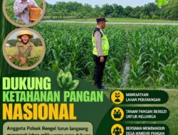 Polri Dukung Astacita, Polsek Rengel Polresta Tuban Turun Cek Tanaman Jagung Warga di Desa Rengel