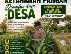 Polri Dukung Astacita, Polsek jenu Polres Tuban Turun Cek Tanaman Jagung Warga di Desa Sumurgeneng