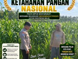 DALAM RANGKA DUKUNG KETAHANAN PANGAN, BHABINKAMTIBMAS DESA NGAWUN SAMBANG DAN DAMPINGI PETANI JAGUNG DI DESA NGAWUN KEC. LARANGAN KAB. TABAN.