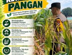 Mendukung Program Ketahanan Pangan, Bhabinkamtibmas Monitoring Pertumbuhan Jagung
