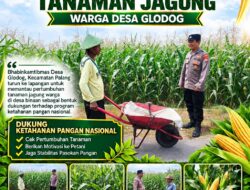 Dukung Astacita, Polsek Palang Polresta Tuban Pantau Langsung Lahan Jagung milik warga Desa Glodog