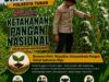 Anggota Polsek Singgahan Polresta Tuban Turun Cek Tanaman jagung Warga di Desa Mulyoagung