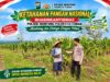 *Polsek Montong Polresta Tuban Turun Cek Tanaman jagung Warga di Desa Bringin*