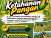 Mendukung Program Ketahanan Pangan, Bhabinkamtibmas Monitoring Pertumbuhan Jagung