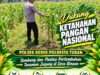 POLSEK KEREK LAKSANAKAN PEMANTAUAN TANAMAN JAGUNG DI DESA BINAAN, DEMI DUKUNG KETAHANAN PANGAN