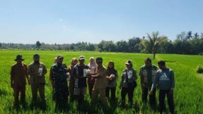 Babinsa Kuripan Utara Dampingi Gerdal Pupuk Hayati Petani