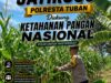 Kawal Swasembada Pangan, Polsek Jatirogo Pantau Langsung Tanaman Jagung di Dingil