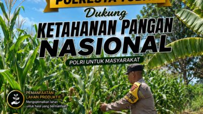 Kawal Swasembada Pangan, Polsek Jatirogo Pantau Langsung Tanaman Jagung di Dingil