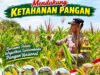 Dukung Program Asta Cita Presiden, Anggota Bhabinkamtibmas Polsek Senori Polresta Tuban Lakukan Pemantauan Tanaman Jagung Warga Desa Jatisari