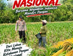 Polsek Soko Polresta Tuban Turun Langsung Cek Tanaman Jagung Warga