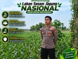 Anggota Polsek Singgahan Polresta Tuban Turun Cek Tanaman jagung Warga di Desa Mulyorejo
