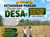 DUKUNG KETAHANAN PANGAN, ANGGOTA POLSEK PARENGAN POLRESTA TUBAN LAKSANAKAN SAMBANG DAN PENDAMPINGAN PANEN JAGUNG DESA SUKOREJO KEC. PARENGAN