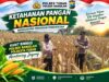Dukung Ketahanan Pangan Nasional, Polsek Bangilan Monitoring Tanaman Jagung