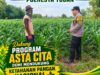 “POLSEK KEREK POLRESTA TUBAN DUKUNG PROGRAM KETAHANAN PANGAN NASIONAL”