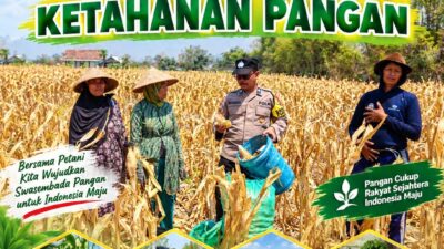 Polisi RW Polsek Senori Polresta Tuban Turun ke Ladang, Bantu Warga Desa Medalem Panen Jagung