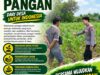Polri Dukung Astacita, Polsek Merakurak Polres Tuban Turun Cek Tanaman Jagung Warga di Desa Tuwiri Wetan