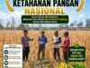 Konsep Otomatis
