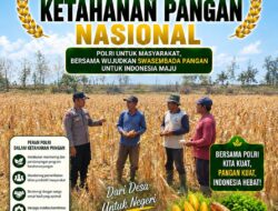 Konsep Otomatis
