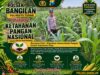 Dukung Ketahanan Pangan Nasional, Polsek Bangilan Aktif Dampingi Petani Jagung